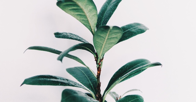 Medical Massage Therapy