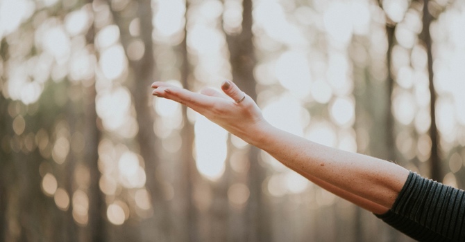 NeuralChek HRV Assessment