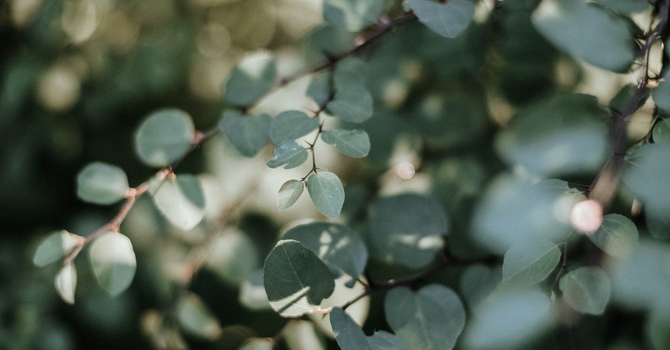 Medical Massage Therapy